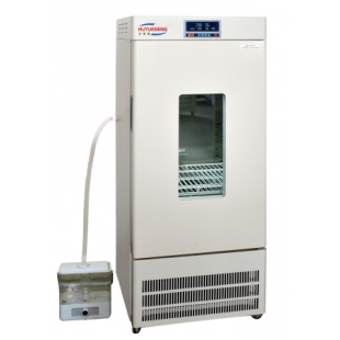 上海滬粵明霉菌培養箱 專業設備與一站式信息咨詢服務